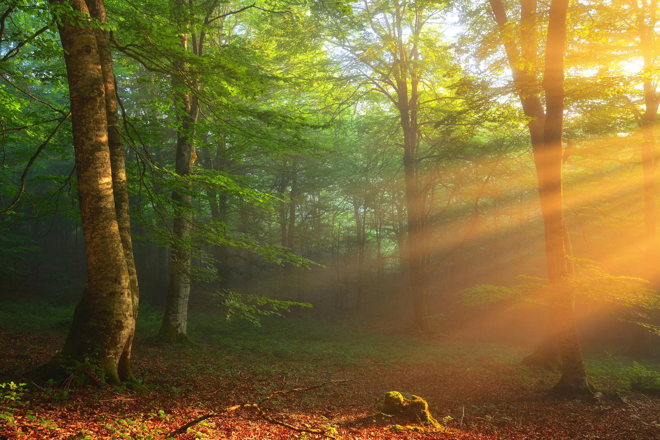 Hector Prada/Getty Images