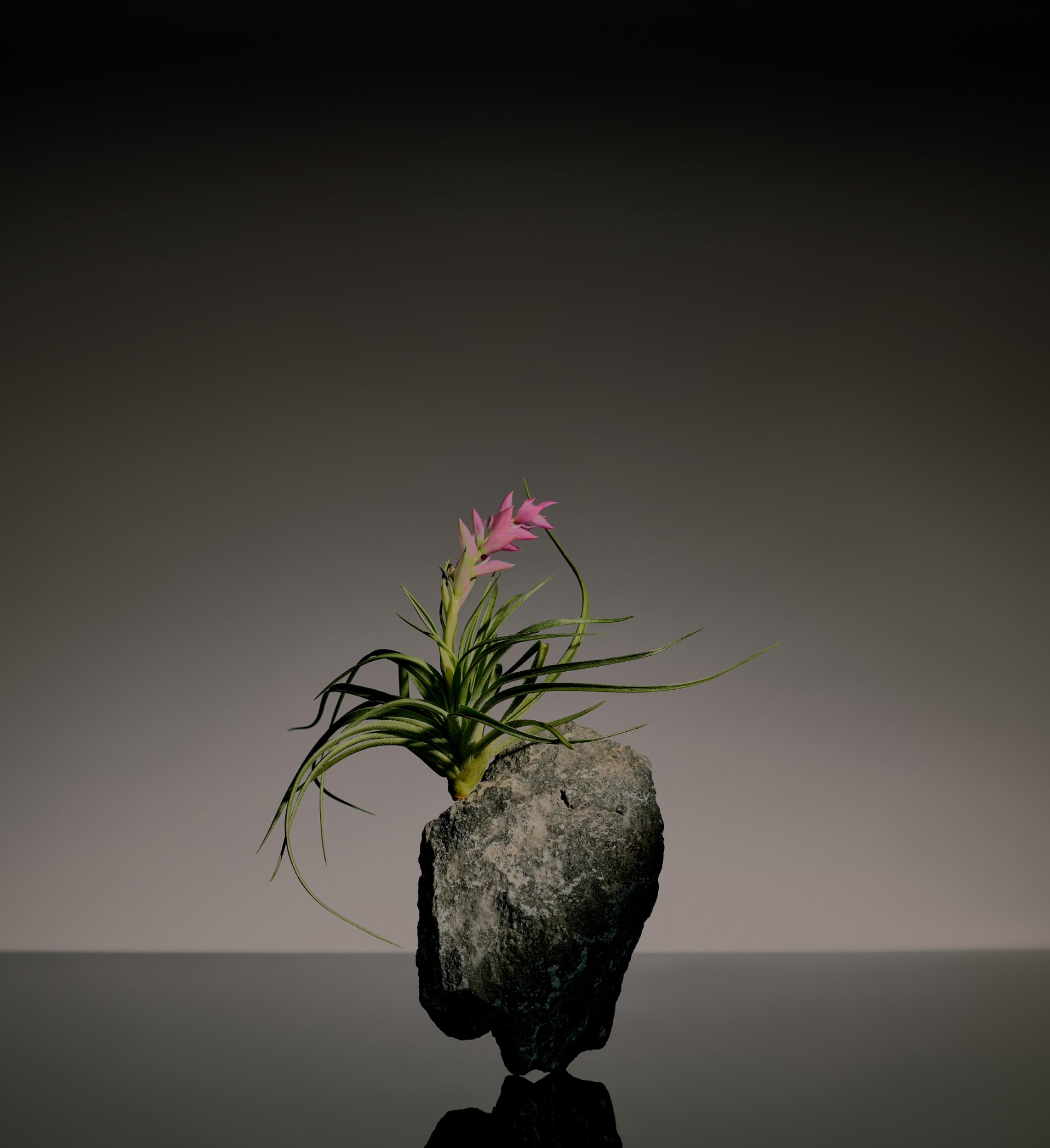 Boost your retirement with Robinhood Gold