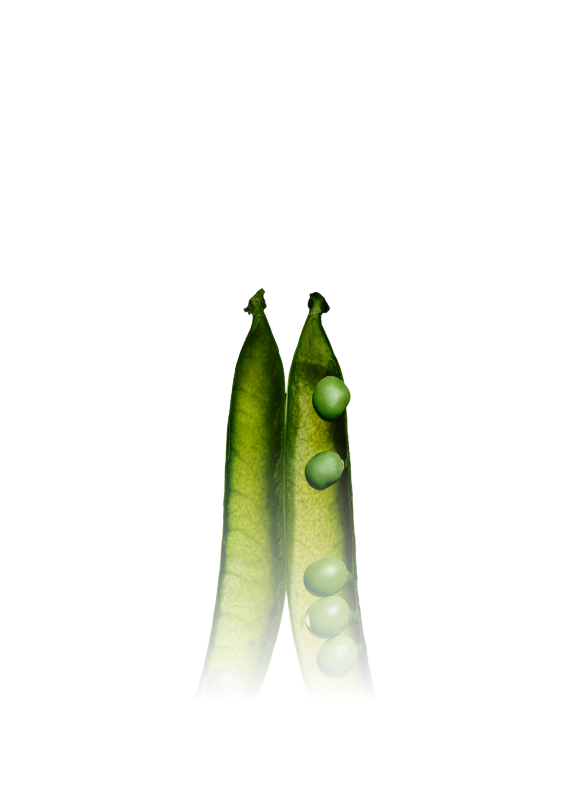 Hold your gains. Harvest your losses